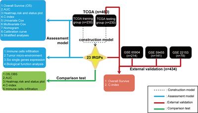 A Novel Signature of 23 Immunity-Related Gene Pairs Is Prognostic of Cutaneous Melanoma